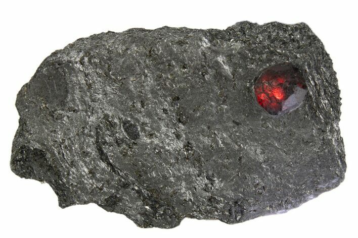 Red Embers Garnet in Graphite - Massachusetts #313416